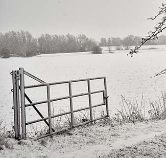 fotodocument ** 