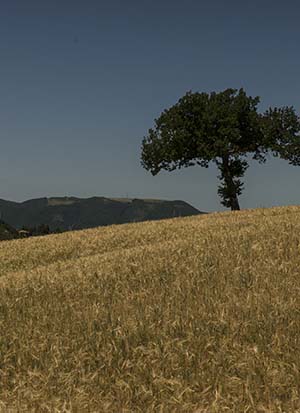 fotodocument ** 